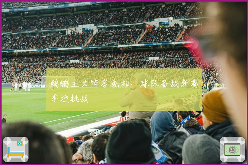 鹈鹕主力阵容亮相，球队备战新赛季迎挑战